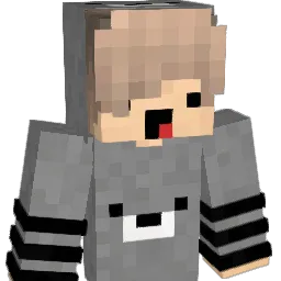 _EnderNy Minecraft avatar bust