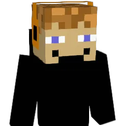 _French_ Minecraft avatar bust