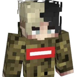 _Fxbi_ Minecraft avatar bust