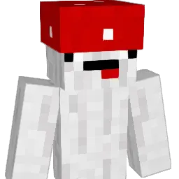 _Fyat Minecraft avatar bust
