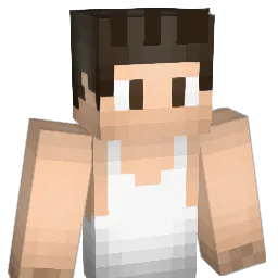 _GaaBriieL_ Minecraft avatar bust