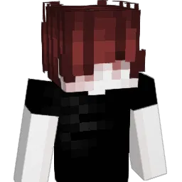 _H01Y_