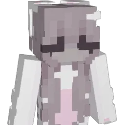 _HBX Minecraft avatar bust