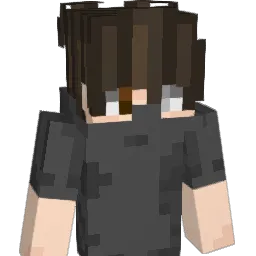 _IYF9 Minecraft avatar bust