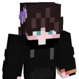 _JX1DX1 Minecraft avatar bust