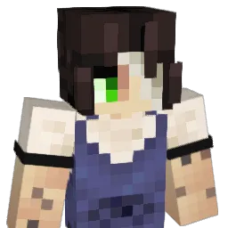_L1p_