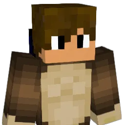 _Lerflip_ Minecraft avatar bust