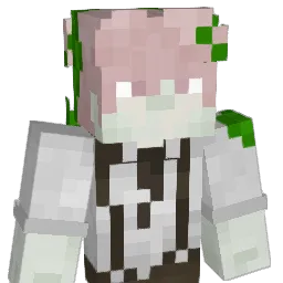 _Litenn_ Minecraft avatar bust