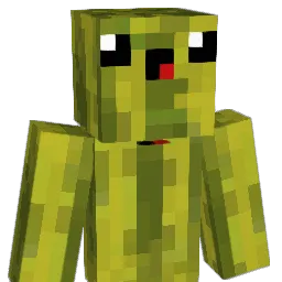 _LuizitoPvP_ Minecraft avatar bust