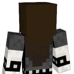 _MAJKL_ Minecraft avatar bust