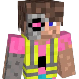 _MaitreTis_ Minecraft avatar bust