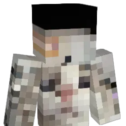 _Meika_ Minecraft avatar bust