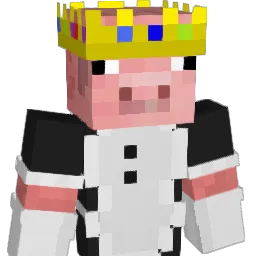 _MooN_WalkeR_ Minecraft avatar bust