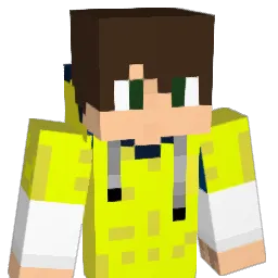 _MrBirne_ Minecraft avatar bust