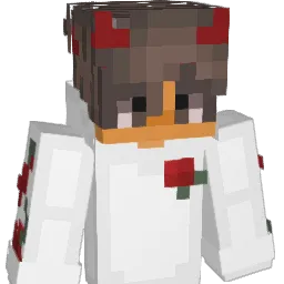 _MrZayrox Minecraft avatar bust