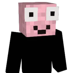 _MushyBrains_ Minecraft avatar bust