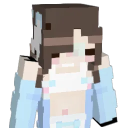 _N0aaH_ Minecraft avatar bust