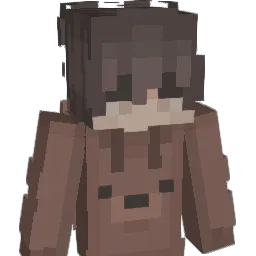 _N4M3_ Minecraft avatar bust