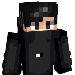 _N4WOE_ Minecraft avatar bust