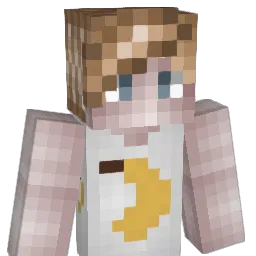 _NELKA_ Minecraft avatar bust