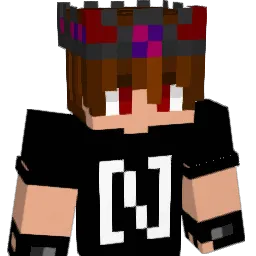 _NaiP_'s Minecraft skin