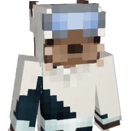 _Niis Minecraft avatar bust