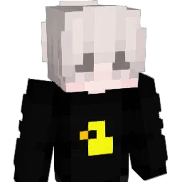 _NoSkILL1337 Minecraft avatar bust
