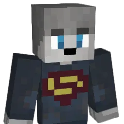 _Outlined Minecraft avatar bust