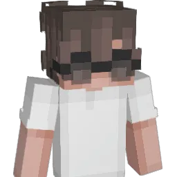 _P1ge0n Minecraft avatar bust
