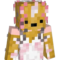 _Parry___ Minecraft avatar bust