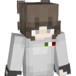 _PeQYTB Minecraft avatar bust