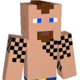 _Phoinex_ Minecraft avatar bust