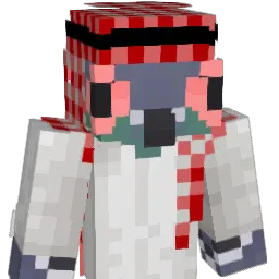 _Pigeon_2238 Minecraft avatar bust