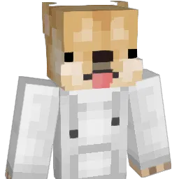 _PoL__'s Minecraft skin