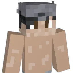 _Porcupine_ Minecraft avatar bust