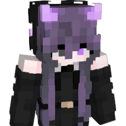 _Precizion