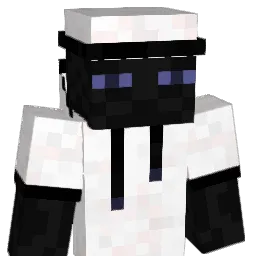 _Quxa_ Minecraft avatar bust