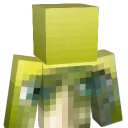_RMI_ Minecraft avatar bust