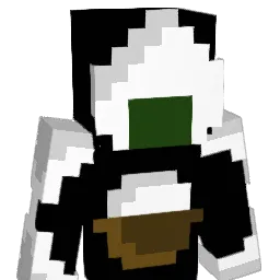 _RiceGrains_ Minecraft avatar bust
