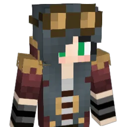 _Robiin_ Minecraft avatar bust
