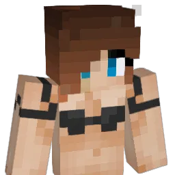 _RokerR Minecraft avatar bust