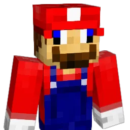 _S0LO_ Minecraft avatar bust