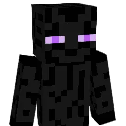 _SEIL_'s Minecraft skin