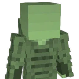 _Sage__ Minecraft avatar bust