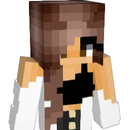 _SalChi_ Minecraft avatar bust
