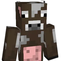 _Sarz Minecraft avatar bust