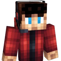 _SelkyN_ Minecraft avatar bust