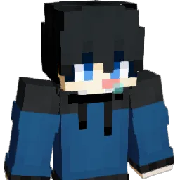 _SeuWeon Minecraft avatar bust