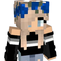 _SkyStorm_ Minecraft avatar bust