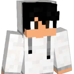 _Sm0rbif_ Minecraft avatar bust
